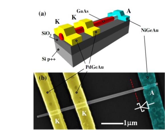 a) Schematic and b) SEM image of a single GaAs nanowire Schottky diode deposited on a Si-SiO2 substrate acting as a back gate. (https://doi.org/10.1103/PhysRevApplied.4.044010)​